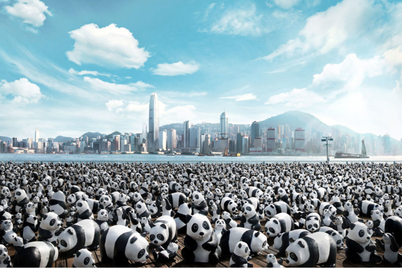 Гонконг заполонили 1600 панд