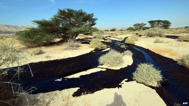 Заповідник на півдні Ізраїлю залило нафтою