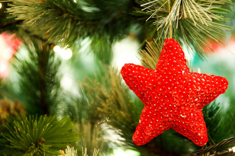 До фотоконкурсу «Різдвяне дерево крізь об’єктив віри» заохочують долучитися прикарпатців