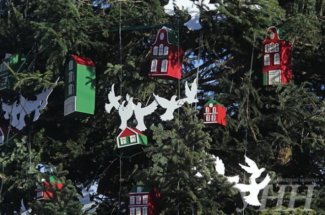 Комунальники розповіли, якою буде новорічна ялинка в Івано-Франківську