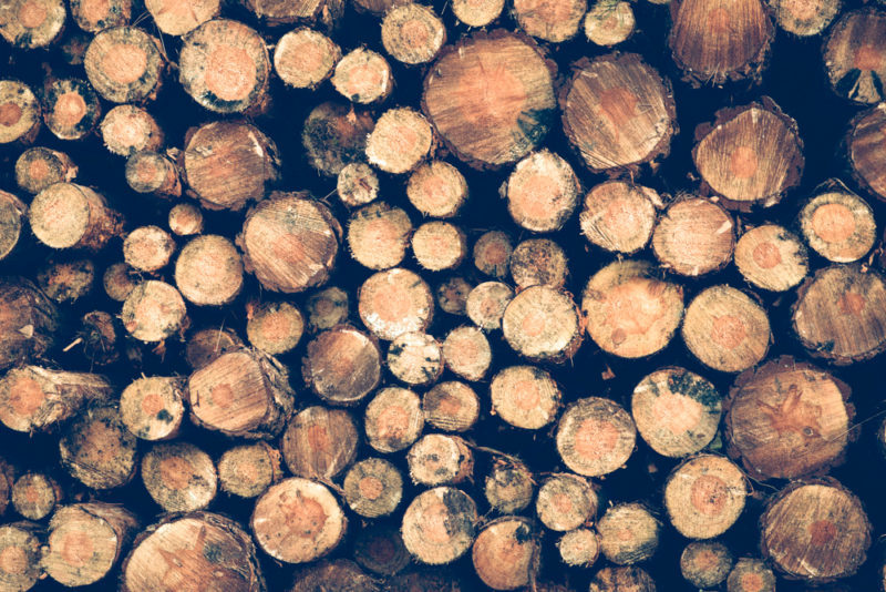 В області підробили документи для експорту 200 кубометрів деревини