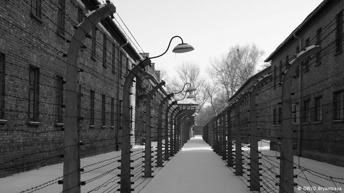 94-річного есесівця звинуватили у вбивстві кількох тисяч в’язнів Освенцима