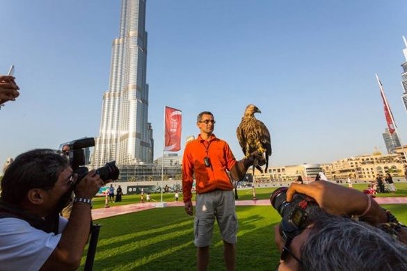 Орел зняв на відео свій політ з найвищої будівлі в світі (ВІДЕО)