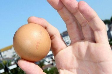 Яйця по 17 грн: скандальну інформацію про закупівлі Міноборони перевірять