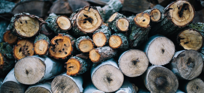 На Прикарпатті започаткували електронний продаж деревини