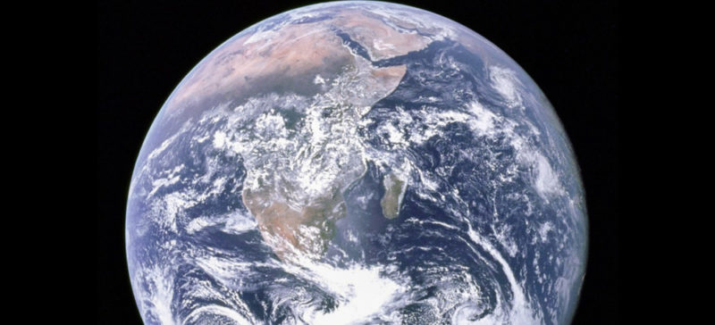 Невтішний прогноз вчених: до 2100 року на суші Землі не залишиться дикої природи