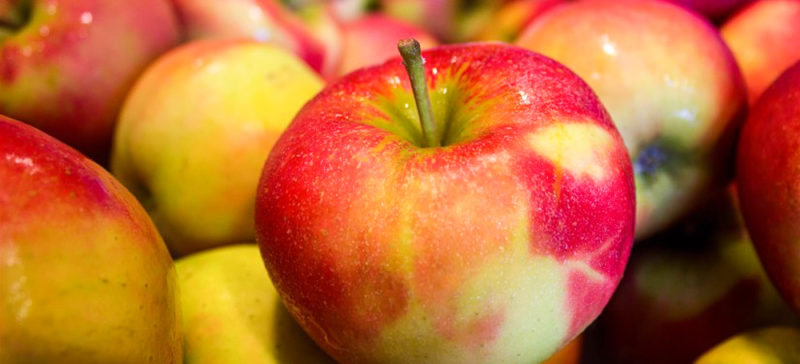 За вкрадені яблука молоді прикарпатці можуть опинитися за гратами