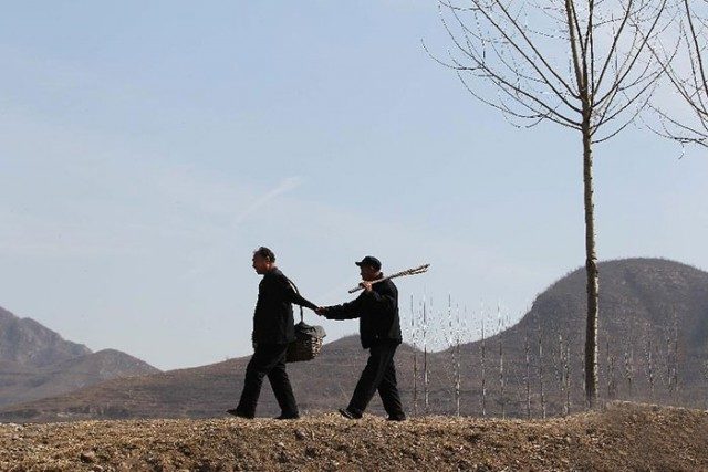 Сліпий чоловік та його безрукий друг висадили 10 000 дерев у Китаї (фото)
