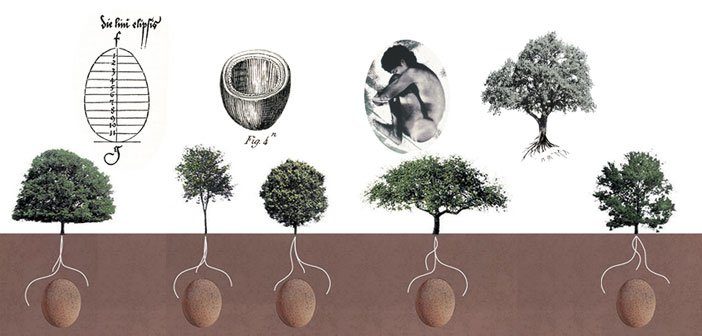 Італійська компанія розробила еко-труни, з яких будуть рости дерева