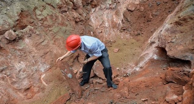 У Китаї будівельники випадково викопали 47 яєць динозавра (ФОТОФАКТ)