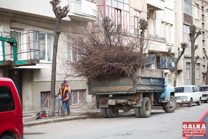 У Франківську продовжують обрізати гілки дерев (ФОТО)
