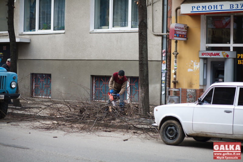 В Івано-Франківську продовжують зрізати аварійні тополі