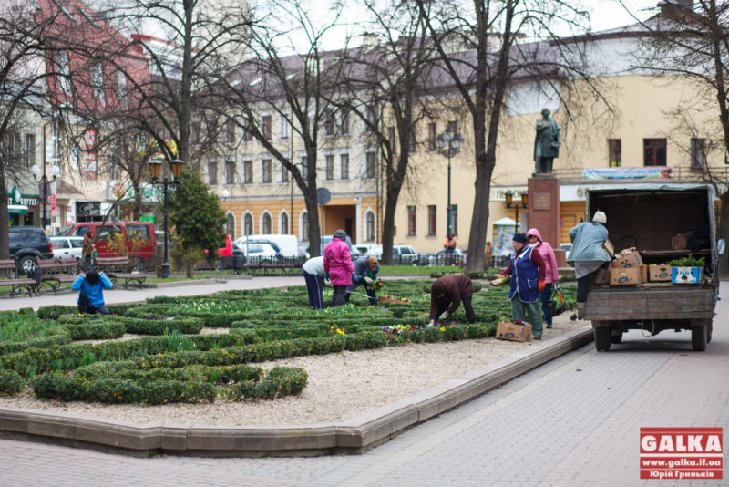 На клумбі біля пам’ятника Міцкевичу висаджують квіти (ФОТО)