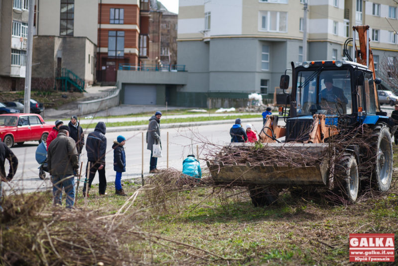 Громадські активісти розчистили хащі на вулиці Гурика (ФОТО)