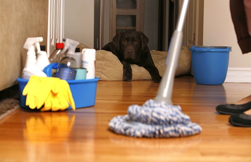 “Галка” рекомендує: 12 практичних порад для прибирання вдома (ФОТО)