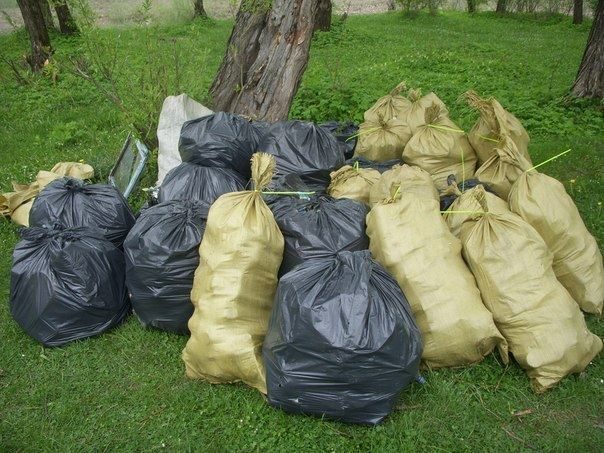 Молодь прибрала береги Бистриці Солотвинської. Зібрала більше сорока мішків сміття (ФОТО)