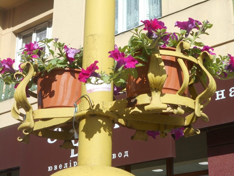 У Франківську на стовпах розвісили горщики з квітами (ФОТО)