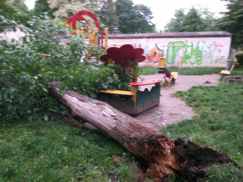 На дитячий майданчик внаслідок негоди впало дерево (ФОТО)
