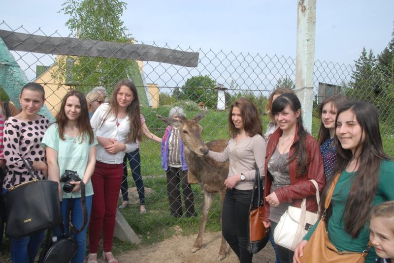 Школярі та студенти допомагають Центру реабілітації диких тварин