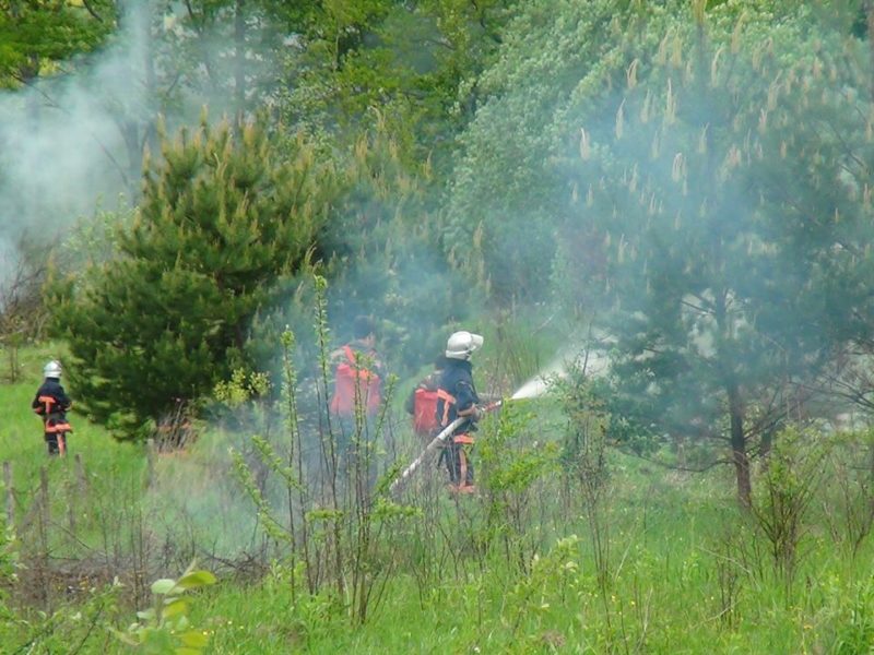 За добу в області було 27 пожеж трави та сміття