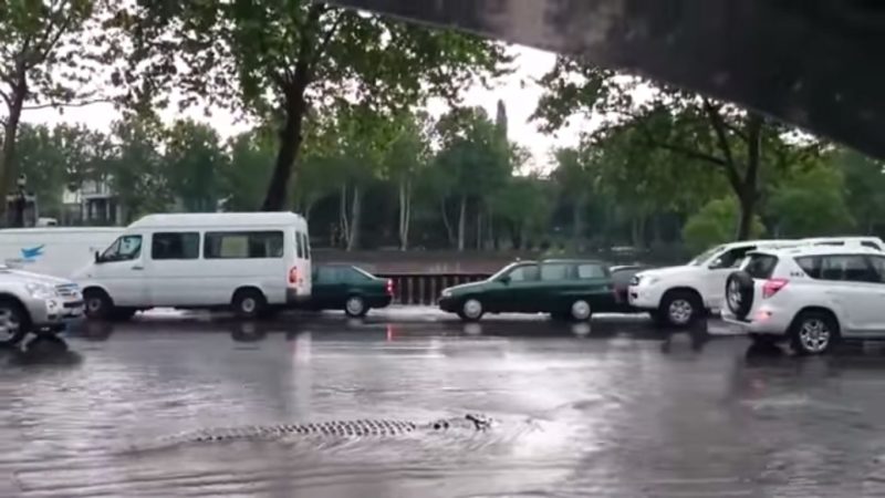 З’явилося відео, на якому вулицею затопленого Тбілісі посеред автівок пливе крокодил (ВІДЕО)