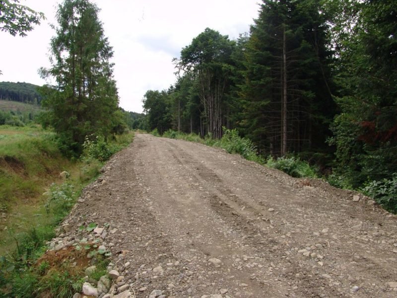 На Прикарпатті відкрили нову лісову дорогу