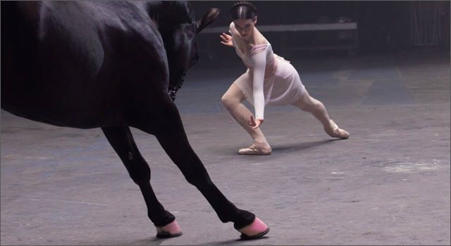 Рекламники показали вражаючий танцювальний баттл між танцівницями різних стилів і конем (ВІДЕО)