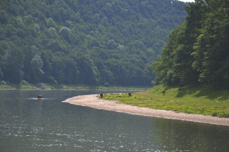 Область хоче розвивати Дністровський ландшафтний парк за підтримки Канади