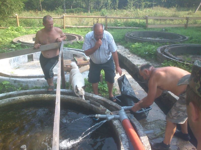 На одному з форельних господарств Прикарпаття рибу рятували від загибелі (ФОТО)