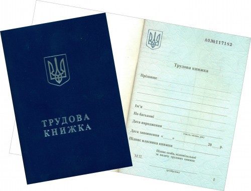 Ідея скасування трудової книжки не життєздатна для України, – Романюк