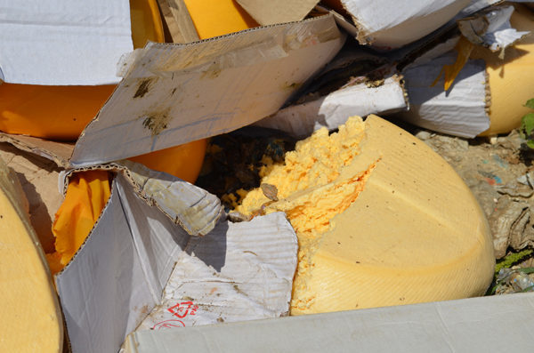 У Росії показово знищили катком 10 тонн українського сиру (ФОТО)