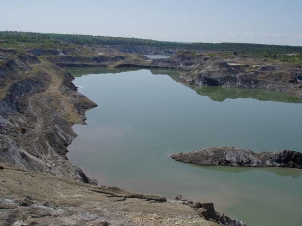 Забруднення води у Калуші загрожує екосистемам Молдови та Румунії