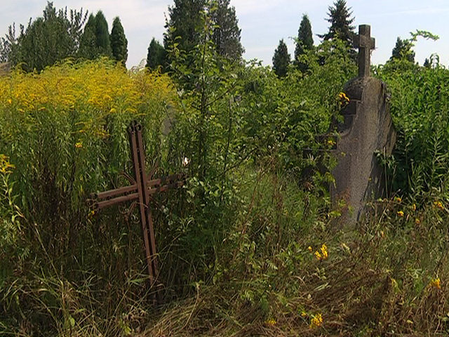 Мешканці Коломиї обурені через безлад на кладовищі (ВІДЕО)