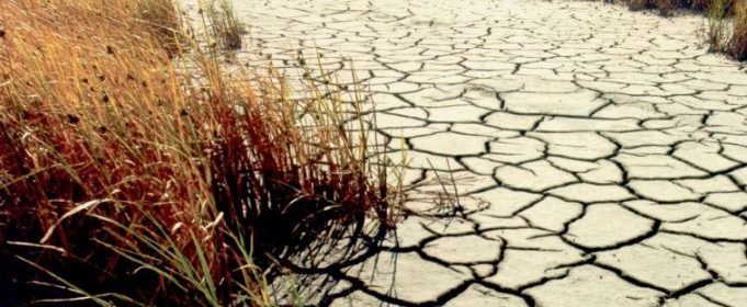 Аномально висока температура та відсутність опадів призвели до грунтової посухи на Прикарпатті, – гідрометцентр