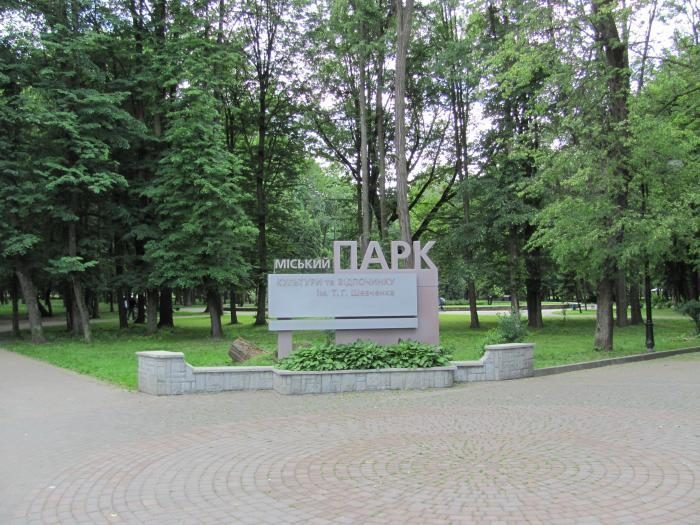 Івано-Франківський міський парк обігріває приміщення сухими гілками та деревами