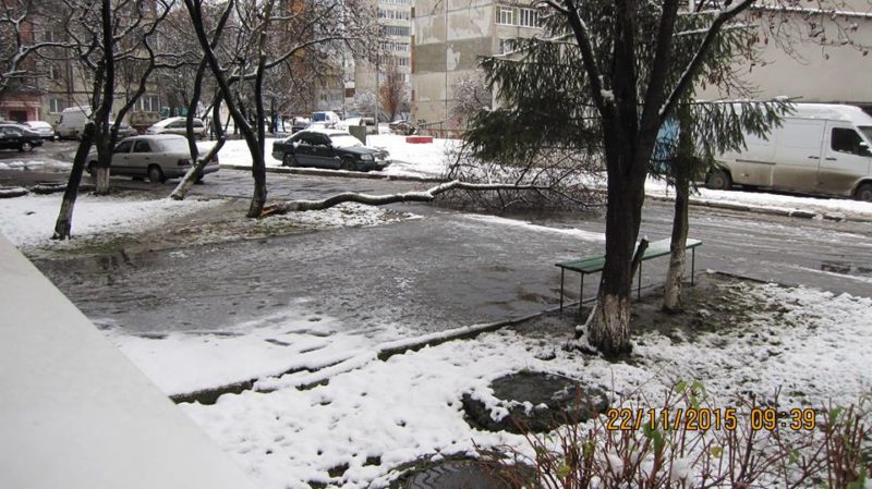 У Франківську впали два дерева, одне з них – на автомобіль (ФОТОФАКТ)