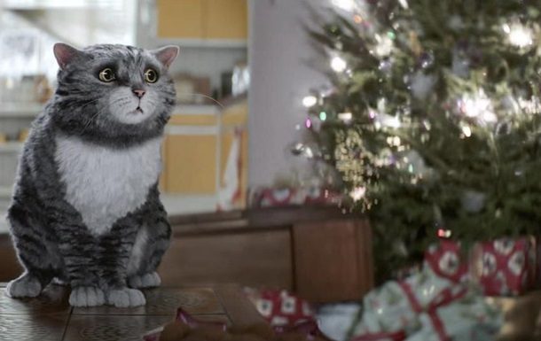 Різдвяний ролик з котом за добу зібрав понад 1 млн переглядів (ВІДЕО)