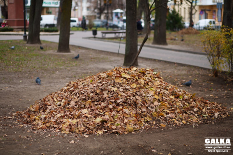 У Франківську опалим листям будуть підживлювати клумби (ВІДЕО)