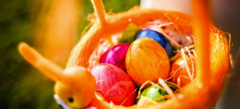 Галка рекомендує: 5 способів оригінально пофарбувати яйця до Великодня (ВІДЕО)