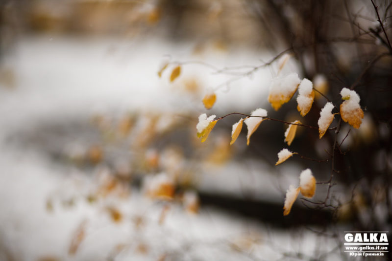 Сніг та хуртовина: на Прикарпатті очікується погіршення погоди