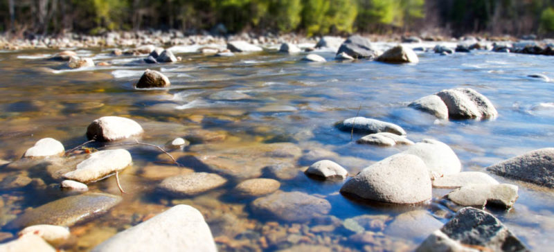 Експерти розповіли, яка річка на Прикарпатті найчистіша (ФОТО)