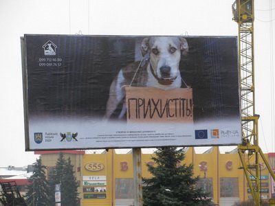 У Франківську розмістили білборди із закликом допомагати безпритульним тваринам