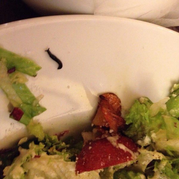 Франківець в салаті з ресторану знайшов “непроханого гостя” – равлика (ФОТОФАКТ)