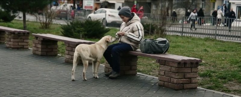 У Франківську зняли зворушливий ролик про безпритульних собак (ВІДЕО)
