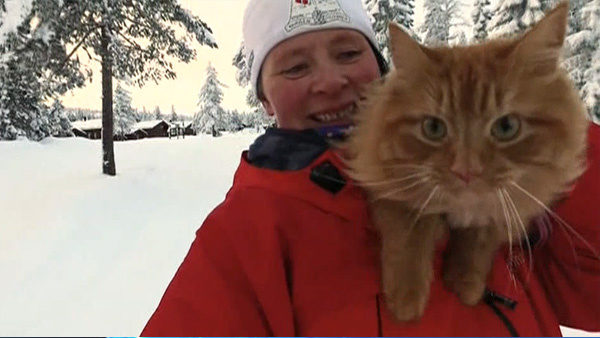 Кіт тягає за собою господиню на лижах (ВІДЕО)