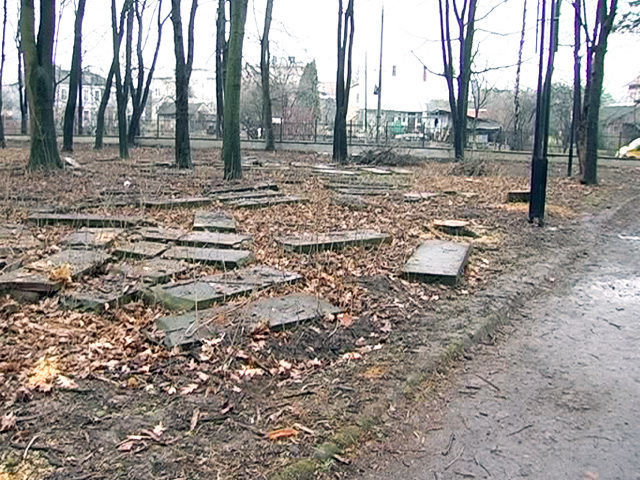 Коломияни проти єврейського кладовища у міському парку (ВІДЕО)