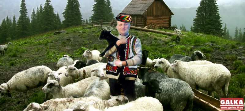 Отара Ротару: екс-директор парку поїхав на полонину пасти овець (ФОТОФАКТ)
