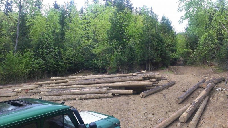 “Війська треба вводити”. На Косівщині місцеві мешканці захопили ліс