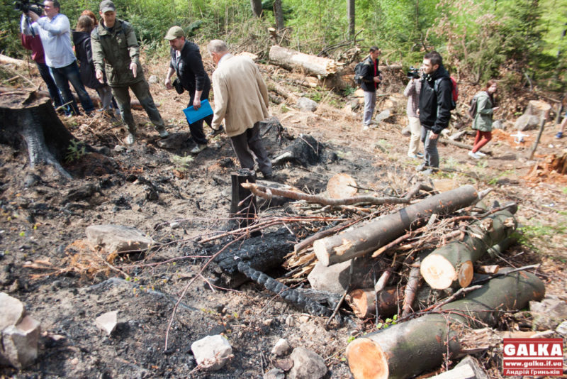 “Дзвонимо і надокучаємо”, – іванофранківців просять контролювати вирубку лісу в Карпатах