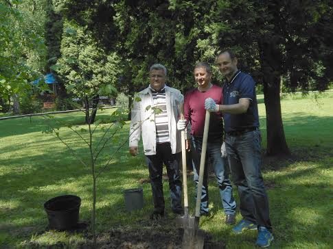 Гості з Молдови посадили в міському парку тюльпанове дерево